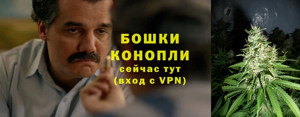 шишки Арсеньев