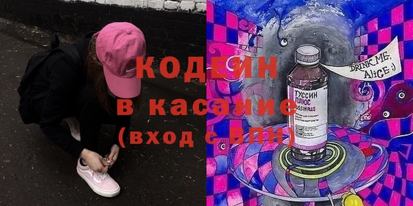 шишки Арсеньев