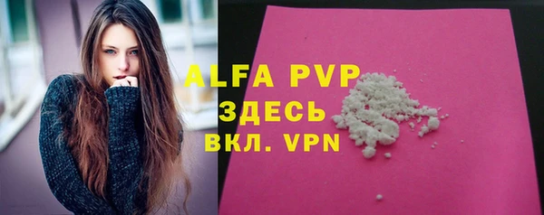 шишки Арсеньев
