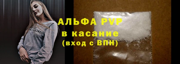 PSILOCYBIN Аркадак