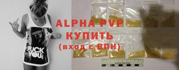 PSILOCYBIN Аркадак