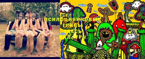 прущая мука Алзамай