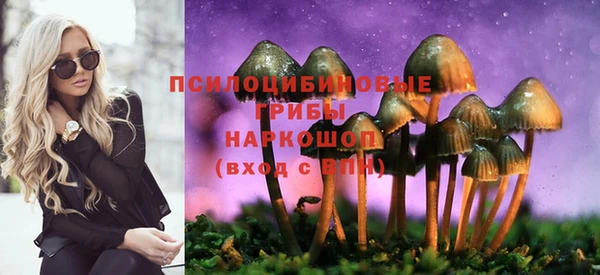 PSILOCYBIN Аркадак