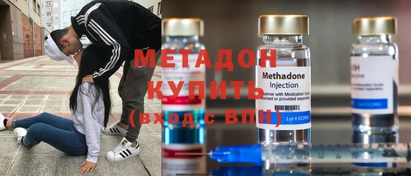 шишки Арсеньев