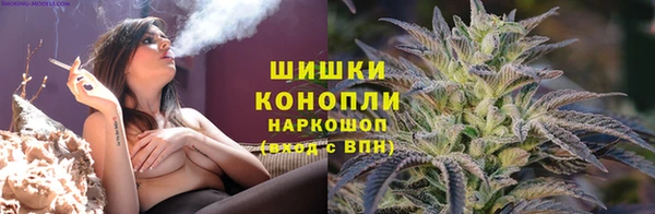 шишки Арсеньев