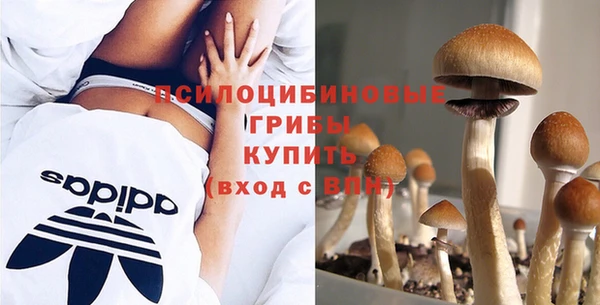 шишки Арсеньев